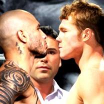 Twenty_four_seven_cotto_canelo_241x208