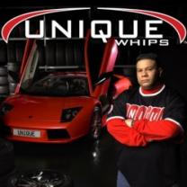 Unique_whips_241x208