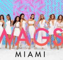 Wags_miami_season_2_241x208