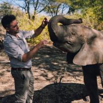 Walking_with_elephants_241x208