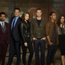 Whiskey_cavalier_241x208