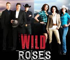 Wild_roses_241x208