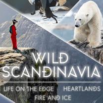 Wild_scandanavia_241x208