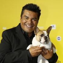 World_dog_awards_241x208